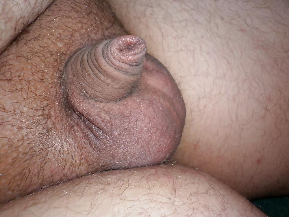 Chubby shemale cock mouth