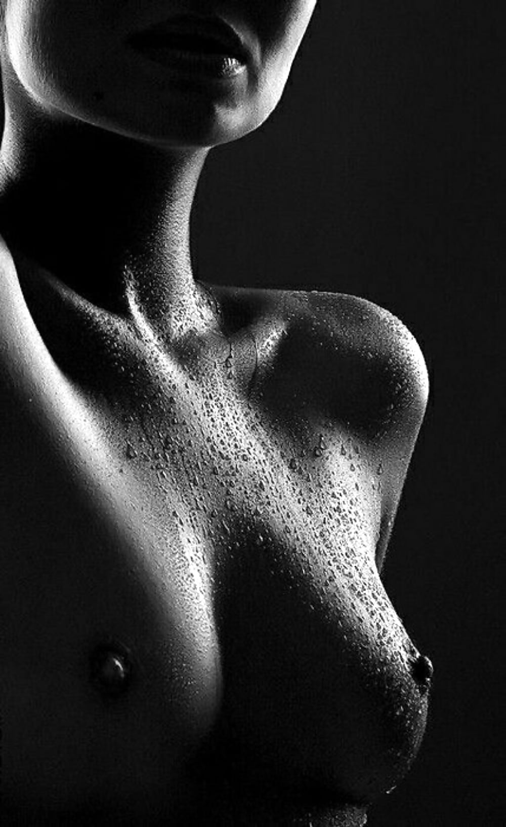 черно белые картинки женской груди фото 19