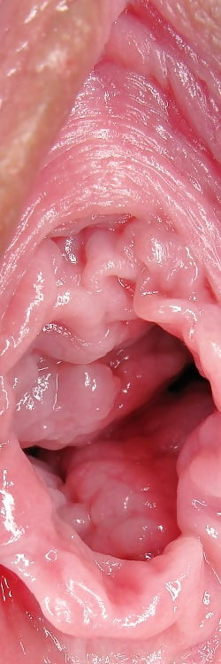 Sex Amatours 11 image