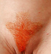 Sex Dyed Colered Pubes image