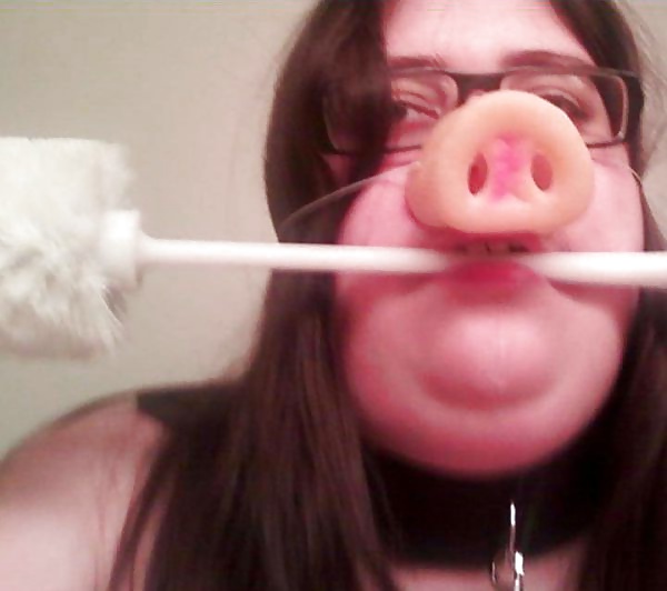 Sex truie sau pig humiler image