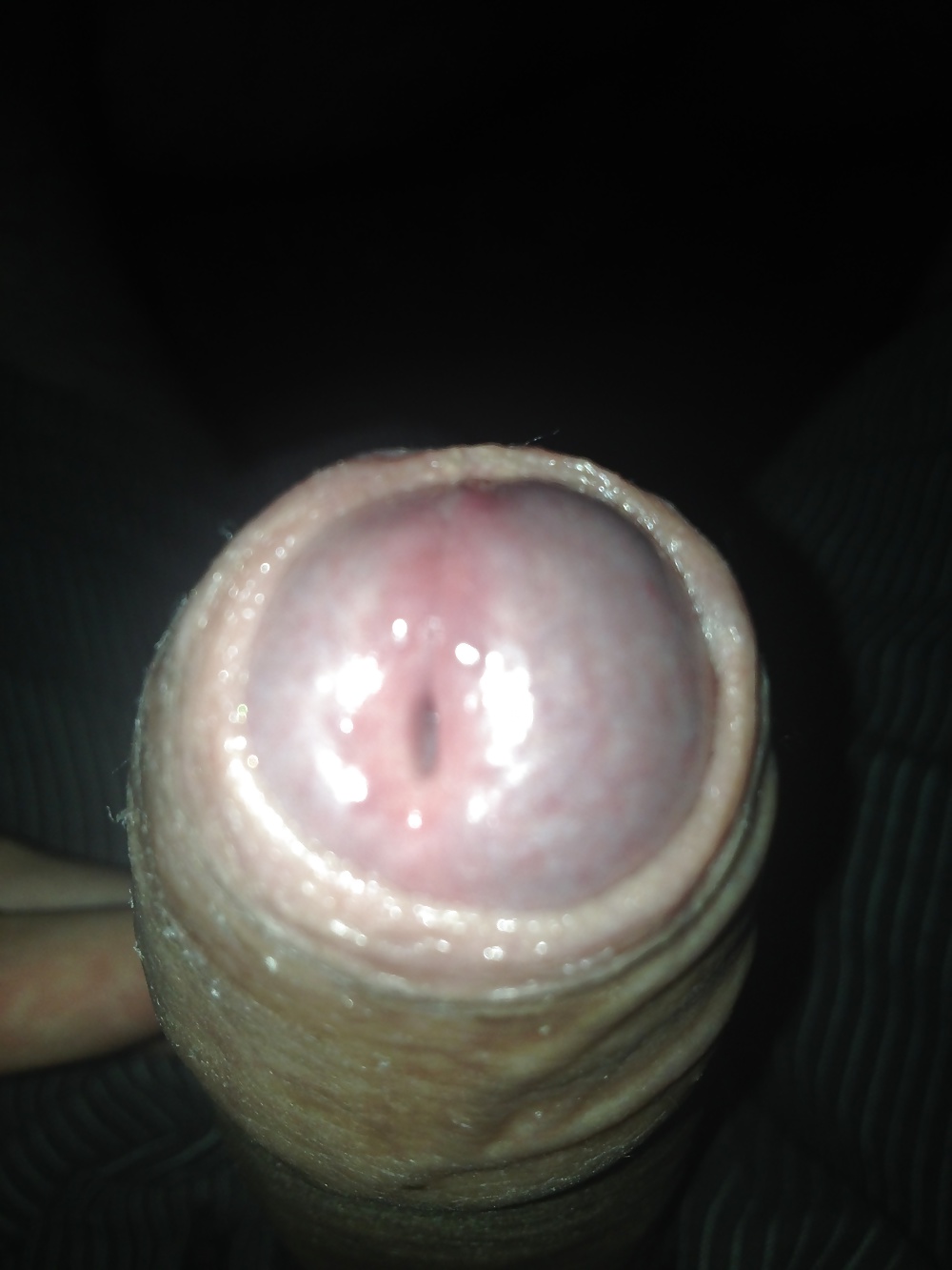 Sex Uncut cock image