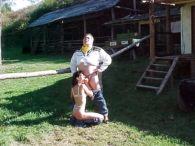 Sex Ranchyard game image