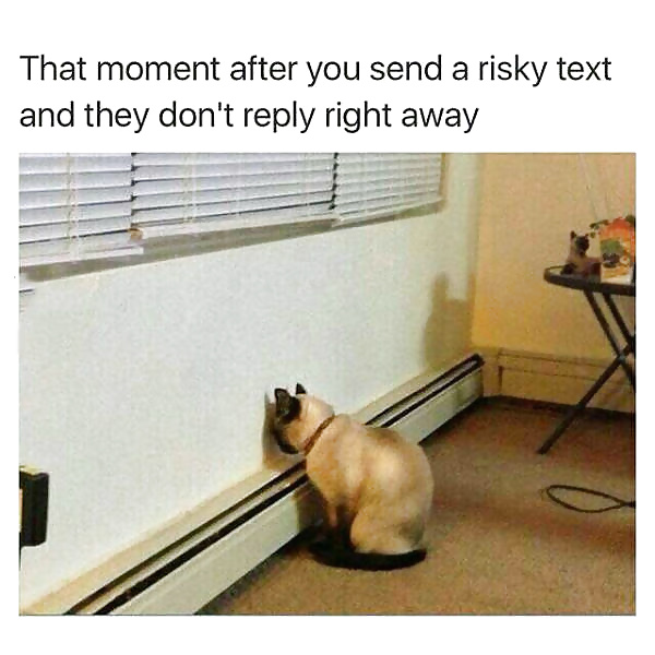 Sex Girls and Diverses 64 image