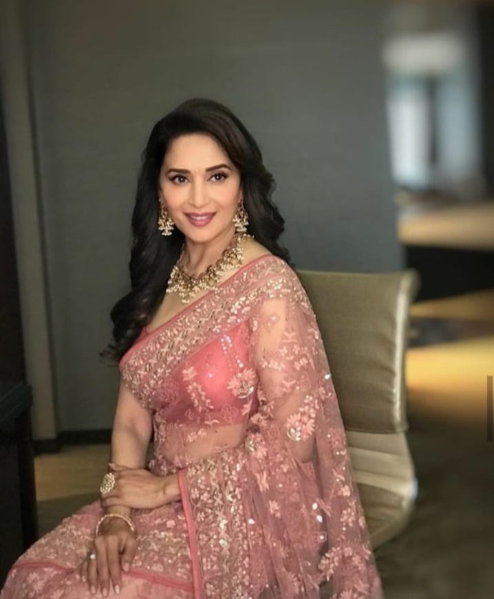 Madhuri Dixit 173 Pics Xhamster