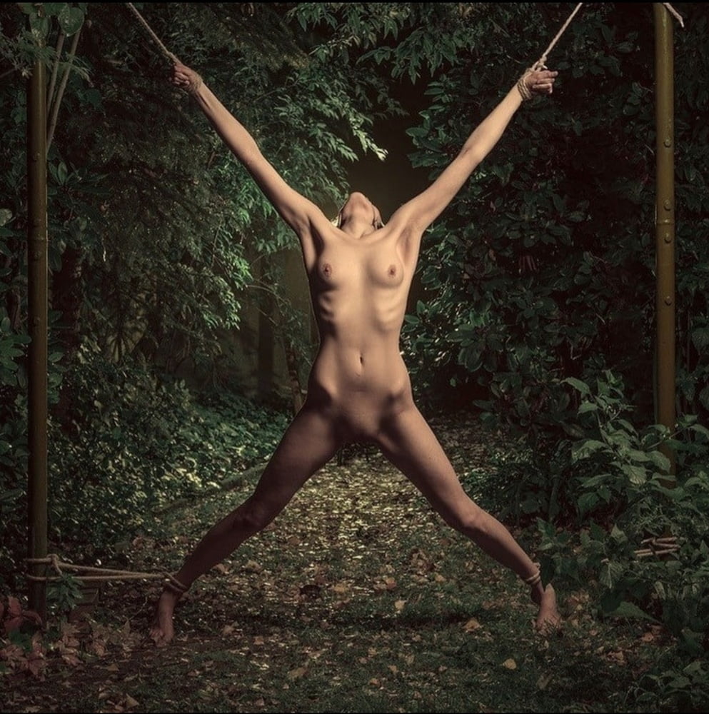 Slave, forest - 300 Photos 