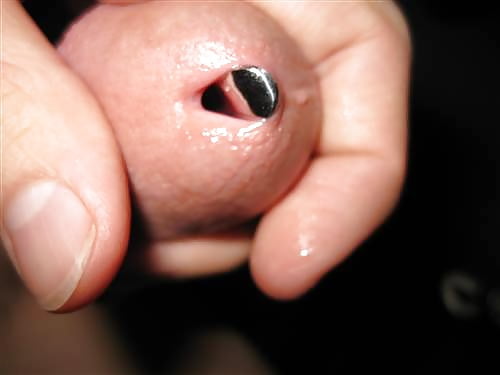 Sex cock sounding 101 image