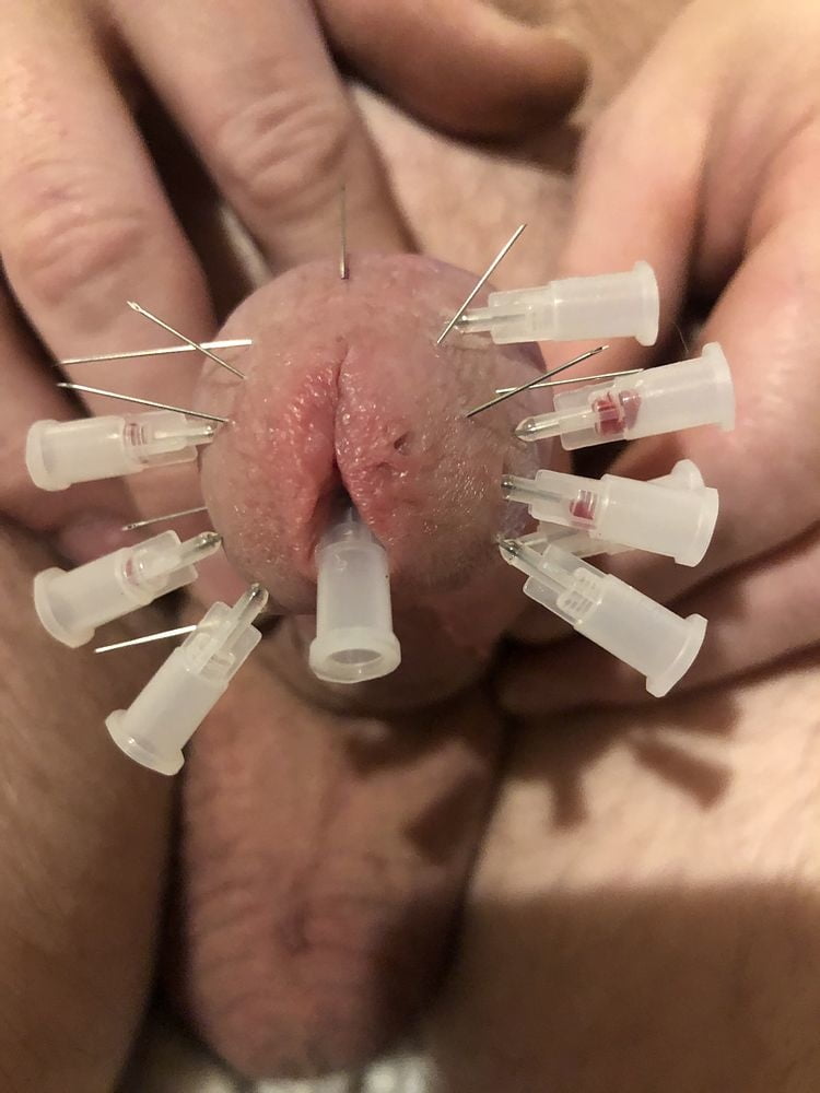 Needles in cock and balls best from. needles in cock and balls best from. 