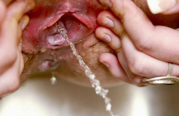 Close Up Girls Pissing