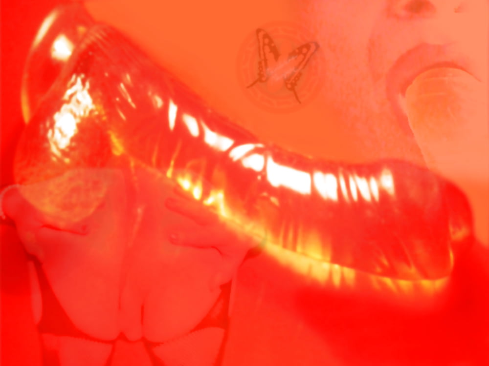 Sex Maddalena 2016 image