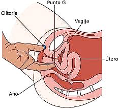 Sex mi (we and our weird cousins) image