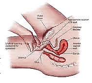 Sex Diana Fuentes Tamalona image