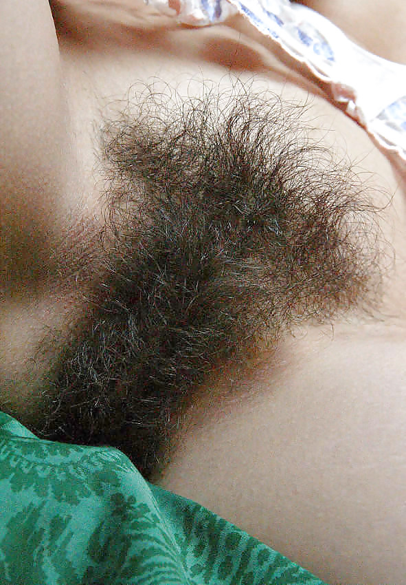 Sex Hairy Pussy image