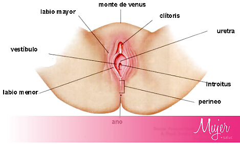 Sex La Vagina de Elia Magallanes image