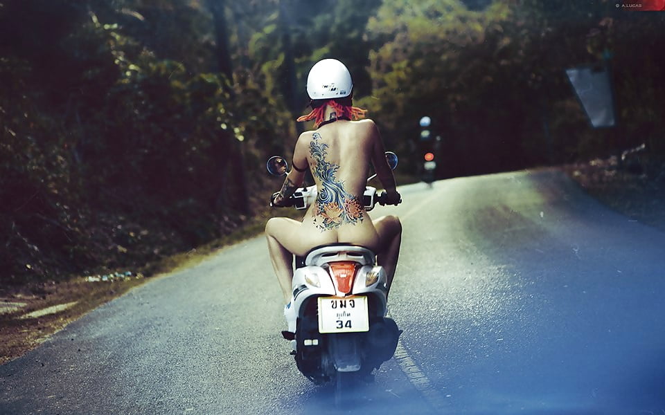 Sex World Models-Artistic Nudes 2 image