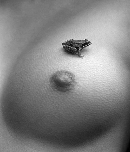 Sex Sexy (65) image