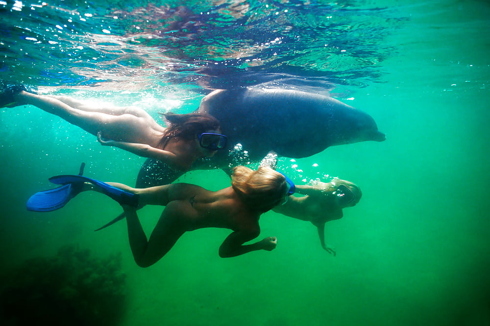Denise Milani Dolphin Beach Photosets