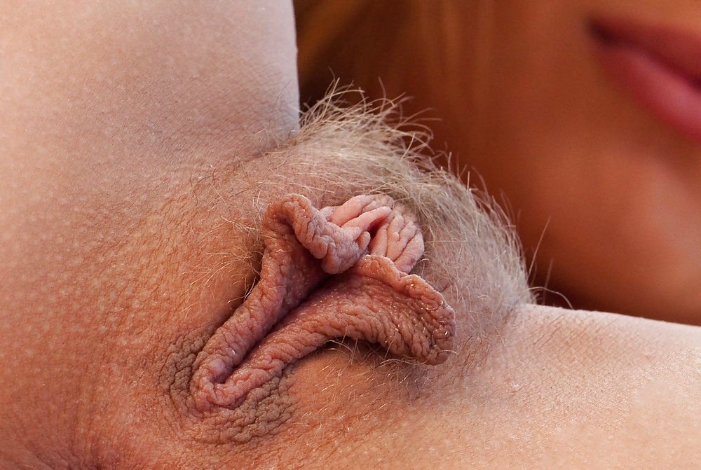 Sex Hairy Pussies image
