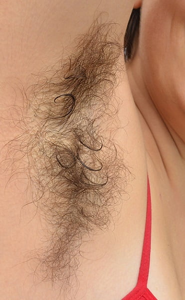 Close-up hairy armpits - 27 Photos 