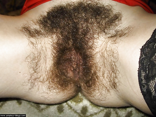 Sex Extremely Hairy Pussies image