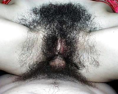 Sex Hairy Cunts 3 image