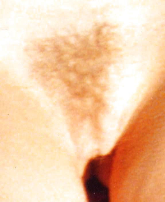 Sex Danis Kristine image