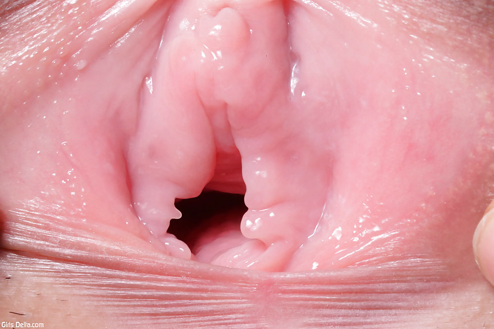 Sex Made in Japan 11 image