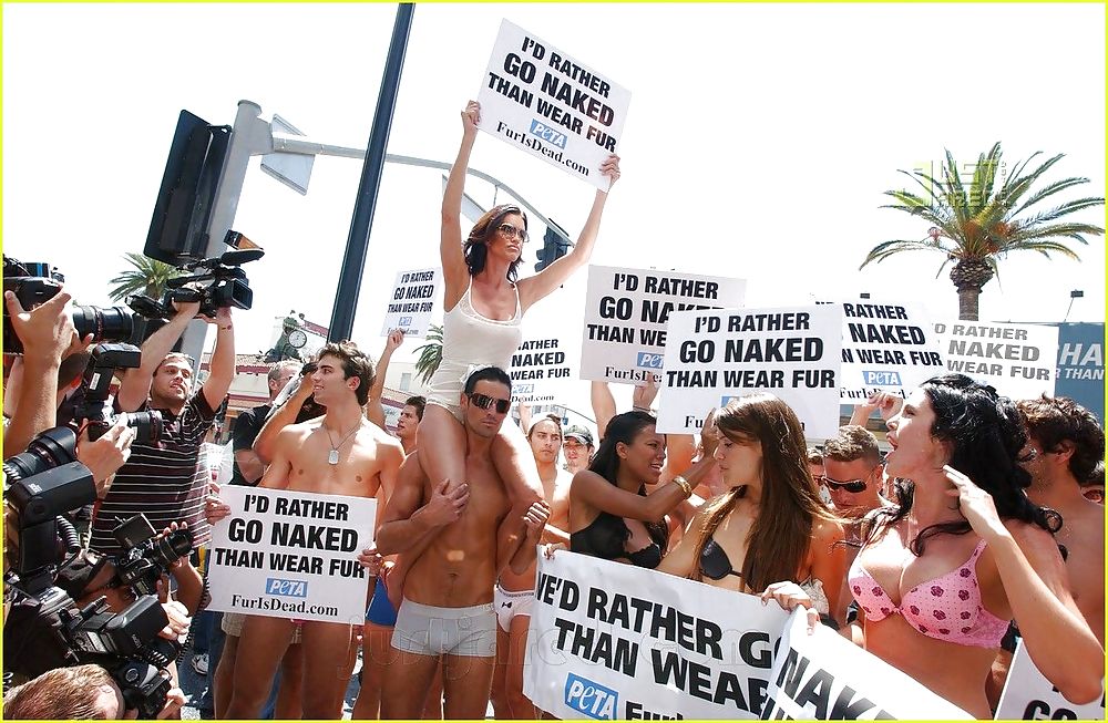 Sex Brian Kehoe  and P.E.T.A.- Los Angeles image