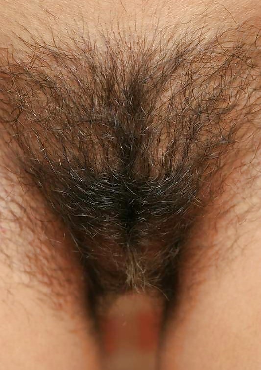 Sex HAIRY PUSSIES image
