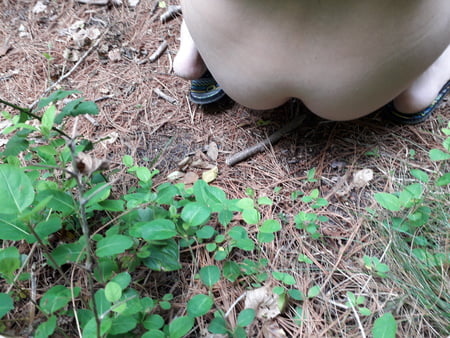 piss outdoor         
