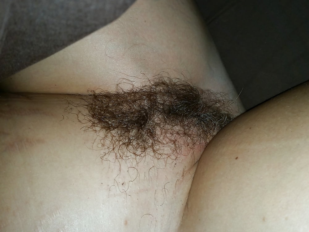 Sex Wife's Furry Snatch image