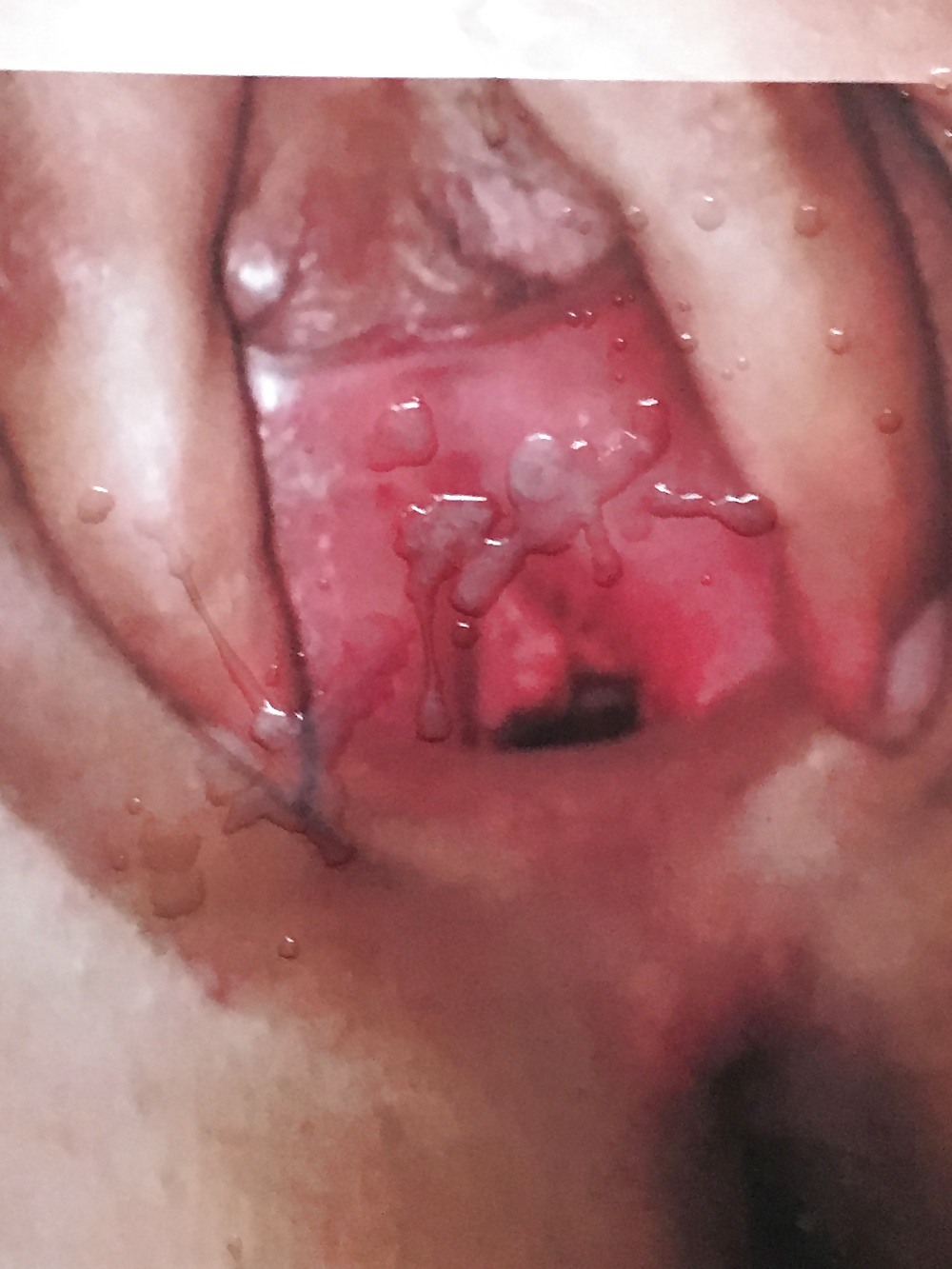 Sex Kreamy Kimmy Tribute image