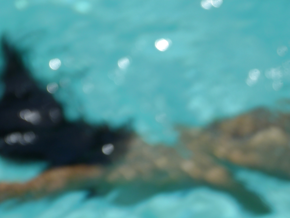 Sex Pool in Dumagette cont... image