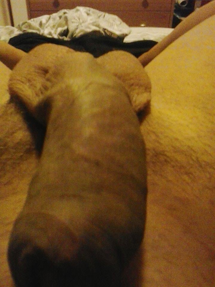 Sex GUARDATE DONNE IL MIO CAZZO IN GUSTO SENTITELO NELLA FIGA image