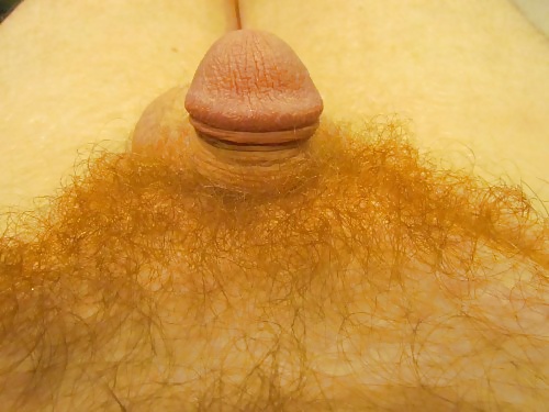 Sex jjmontana close up shots of ginger body hair image