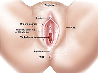Sex Diana Fuentes Tamalona image