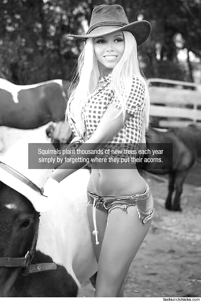 Sex Facts are Best Served with Hot Chicks image