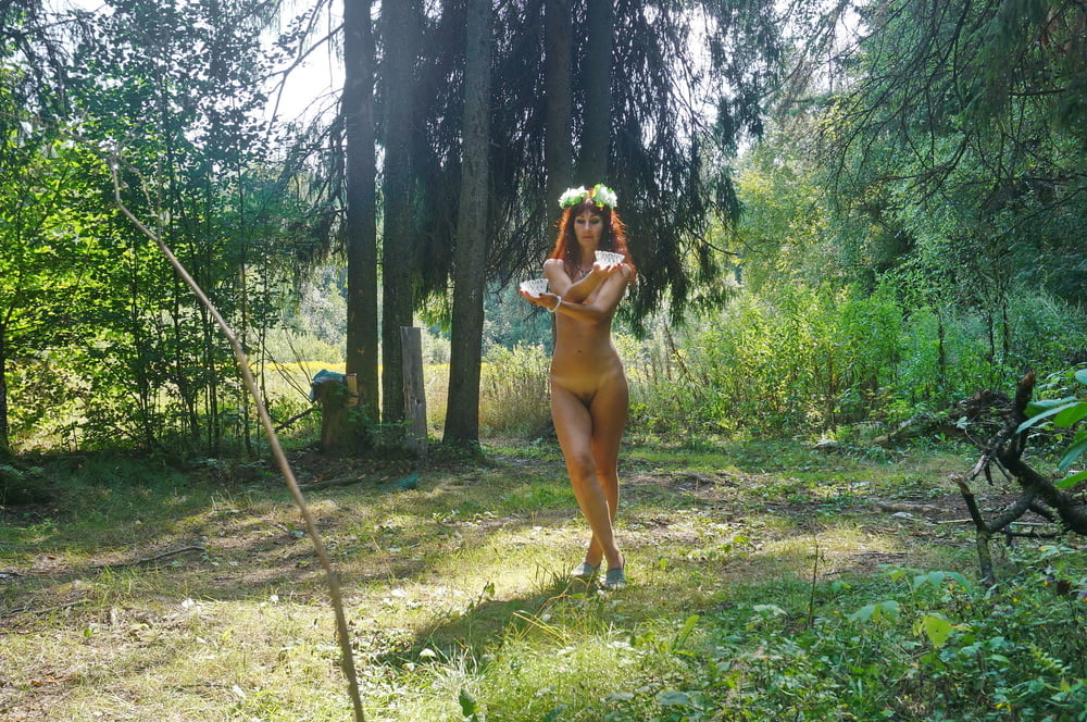 Forest Fairy 2  