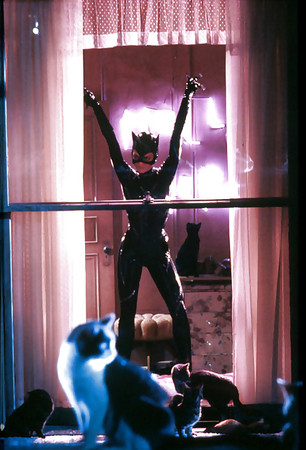 CATWOMAN is Sexy Sexual and Dangerous Great Turn-On STF