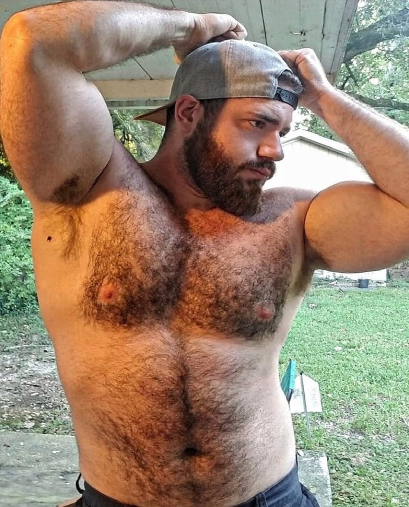 медведи волосатые геи фото 50