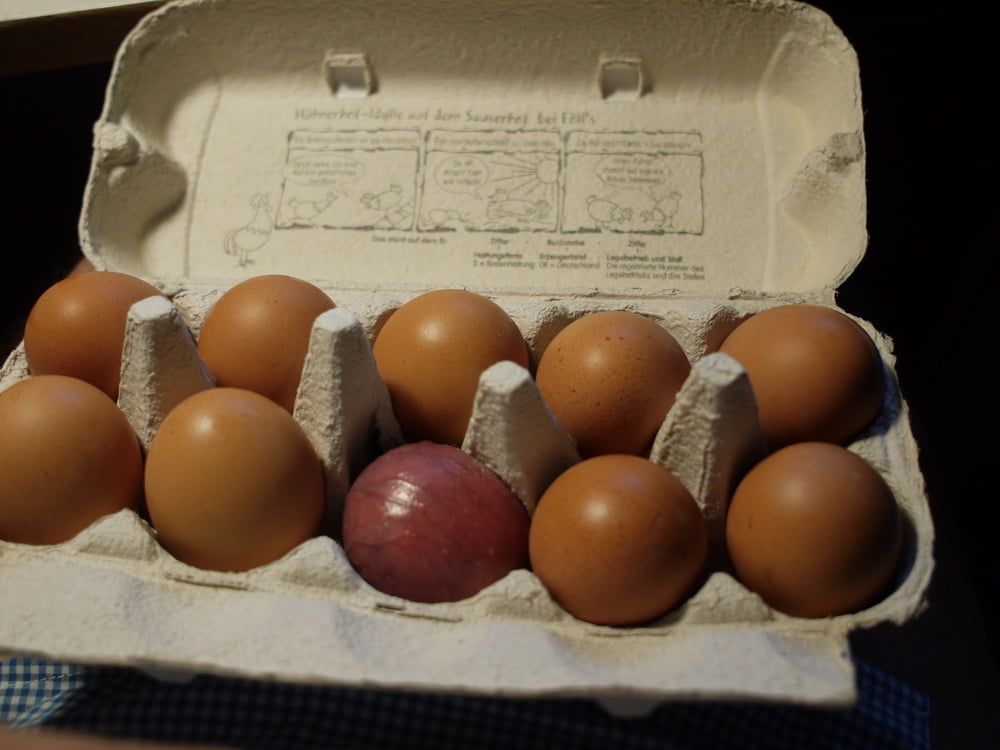 Eier im Karton.