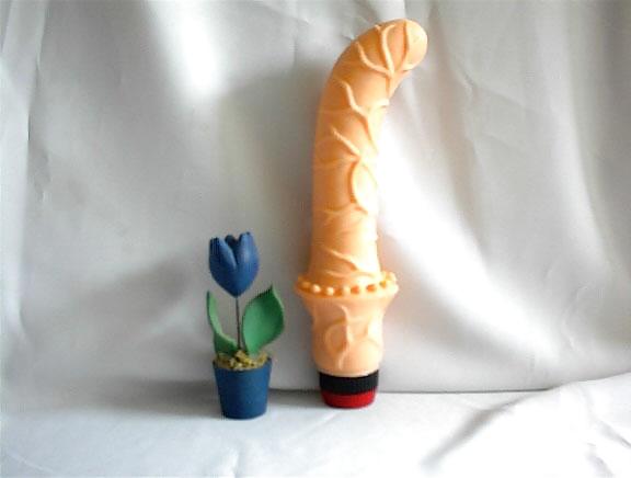 Sex sex toys image