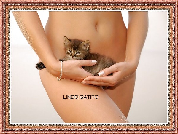 Sex alla lapina-privado image