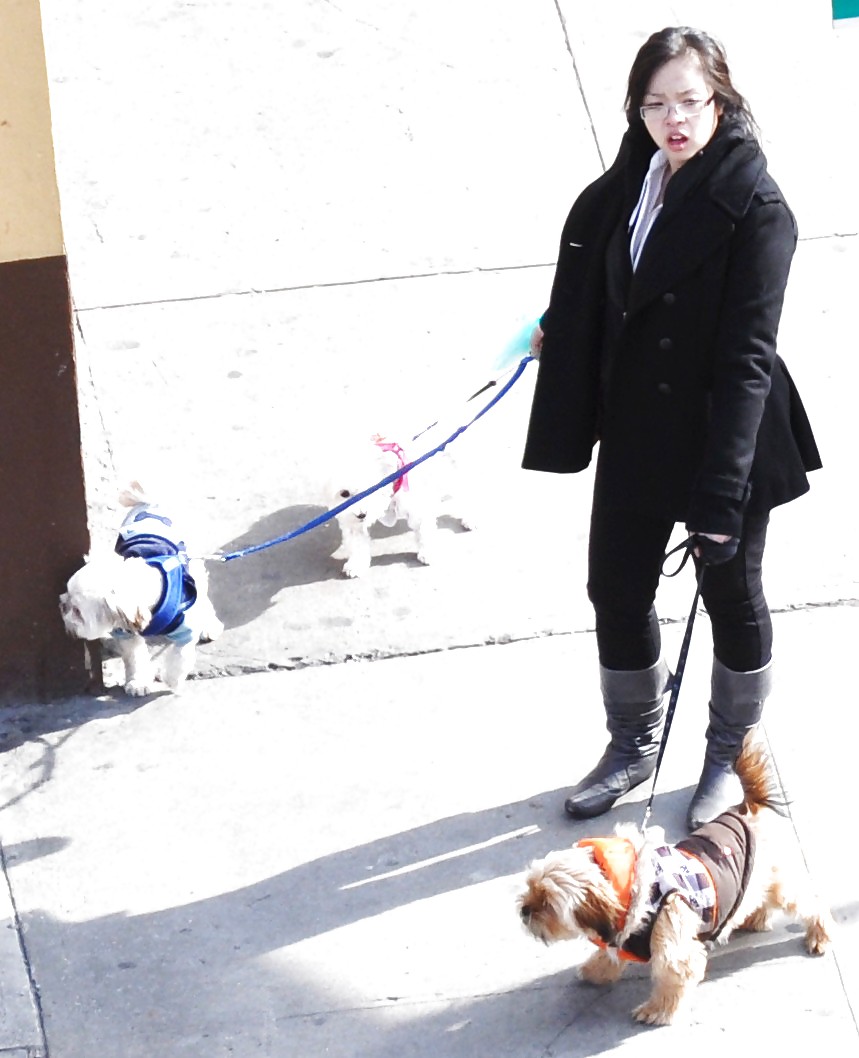 Sex New York Sexy Dog Walker Girl image