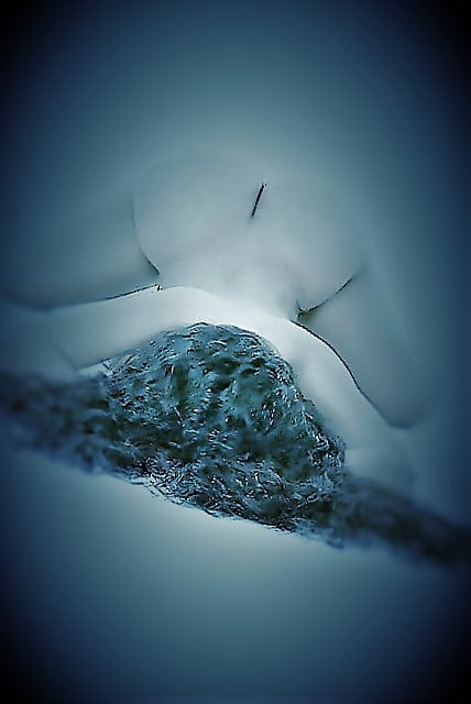 Sex Me...not so many years ago image