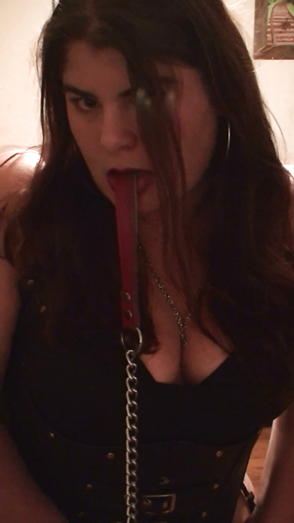 Sex Leather Corset image