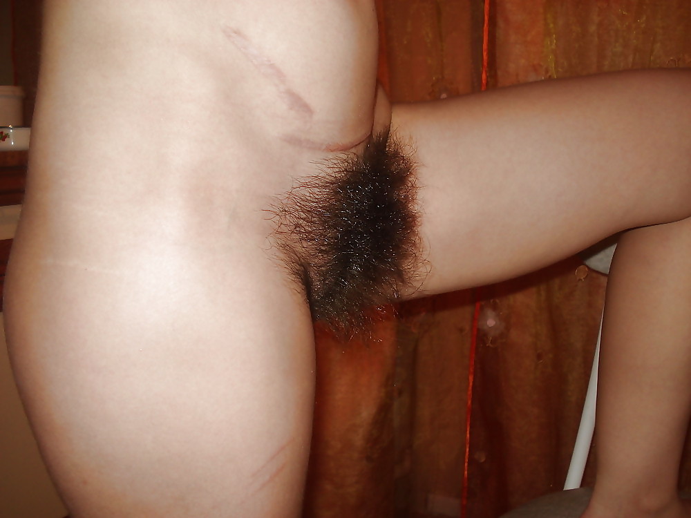 Sex Hairy pussy image