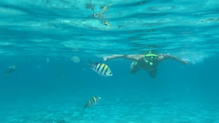 rate my naked diving experience         