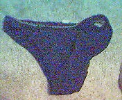 Laundry Mat Panties