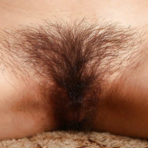 Sex Amatours 134 image